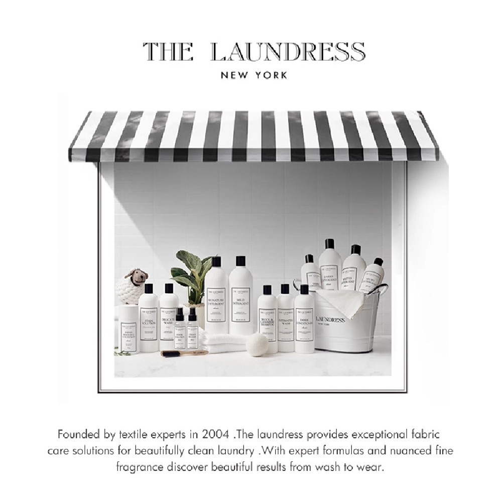 Delicate Wash Lady Detergent 500g