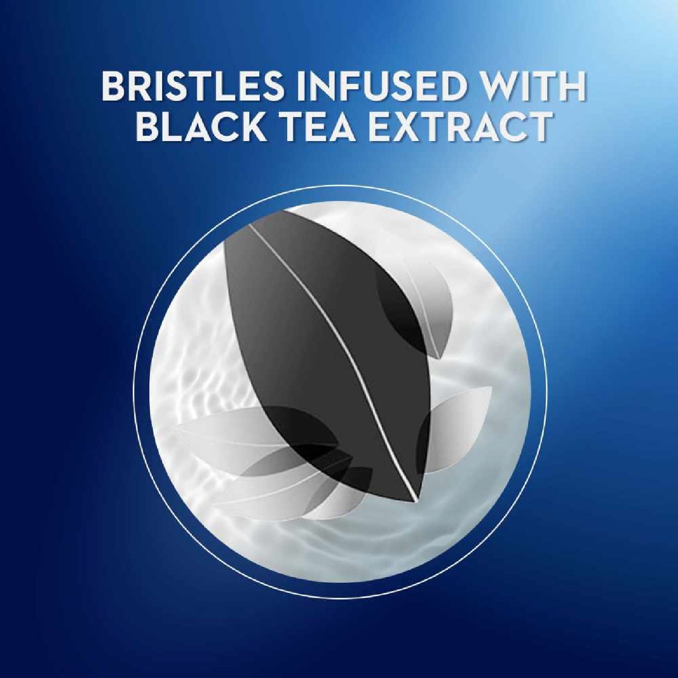 Ultrathin Black Tea Manual Toothbrush Extra Soft 5s