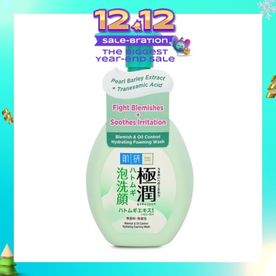 HADA LABO Oil Control Foaming Wash(Oil Control Foaming Wash For Oily & Combination Skin) 160g