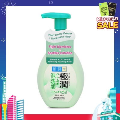 HADA LABO Oil Control Foaming Wash(Oil Control Foaming Wash For Oily & Combination Skin) 160g