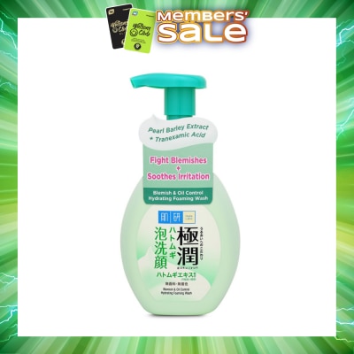HADA LABO - Oil Control Foaming Wash(Oil Control Foaming Wash For Oily & Combination Skin) 160g