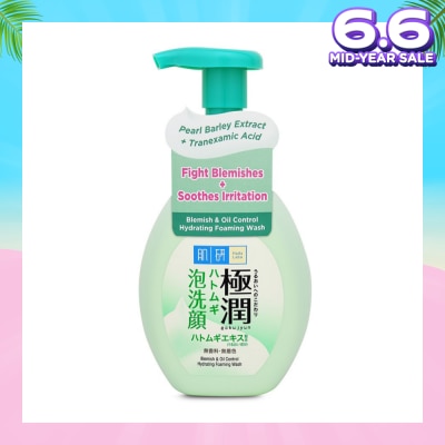 HADA LABO Oil Control Foaming Wash(Oil Control Foaming Wash For Oily & Combination Skin) 160g