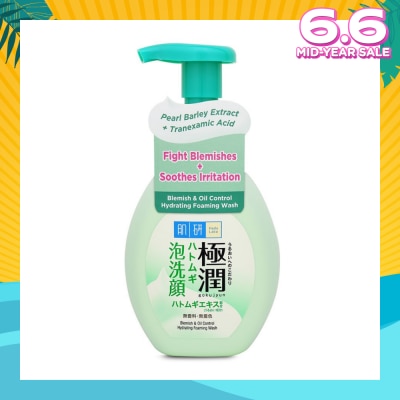 HADA LABO Oil Control Foaming Wash(Oil Control Foaming Wash For Oily & Combination Skin) 160g