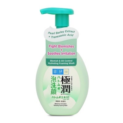 HADA LABO Oil Control Foaming Wash(Oil Control Foaming Wash For Oily & Combination Skin) 160g