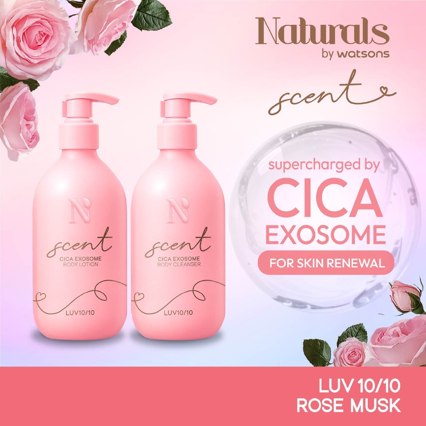 LUV10/10 Rose Musk Cica Exosome Body Cleanser & Body Lotion Set 400ml x 2s