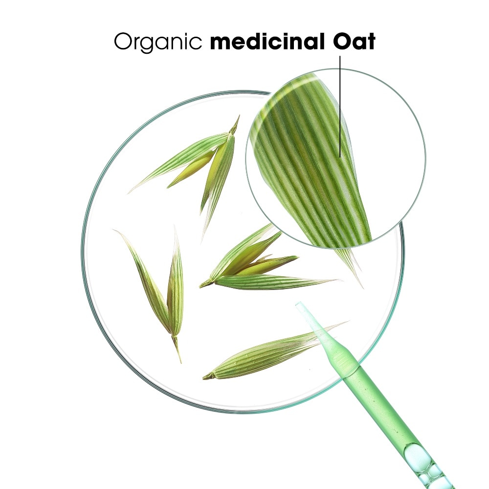 Ultra-Gentle Dry Shampoo with Oat & Ceramide Trio Kit 150ml x 3s