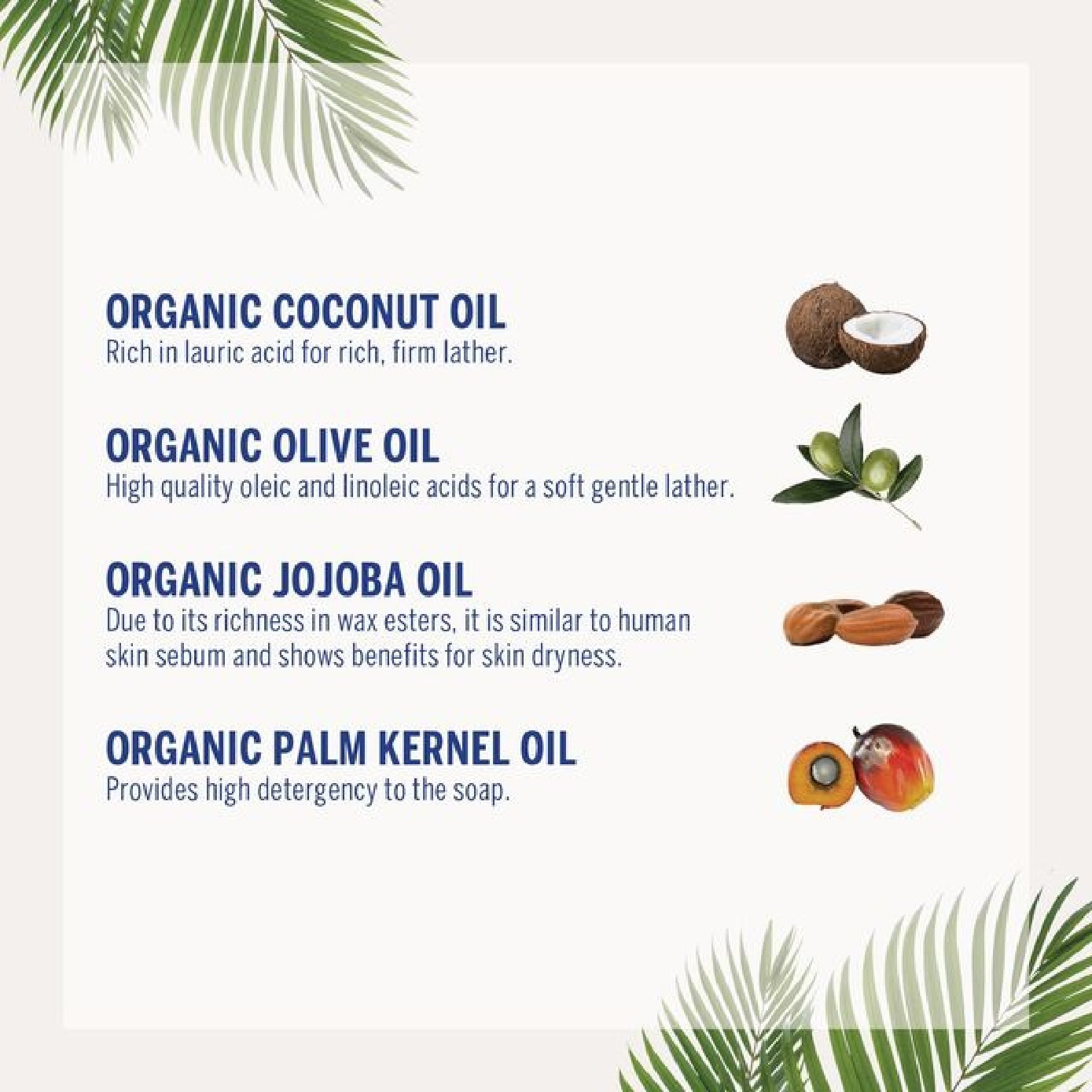 18-In-1 Cherry Blossom Pure-Castile Organic Liquid Soap 473ml