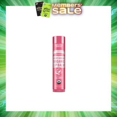 DR BRONNER'S - Cherry Blossom Organic Lip Balm 4g