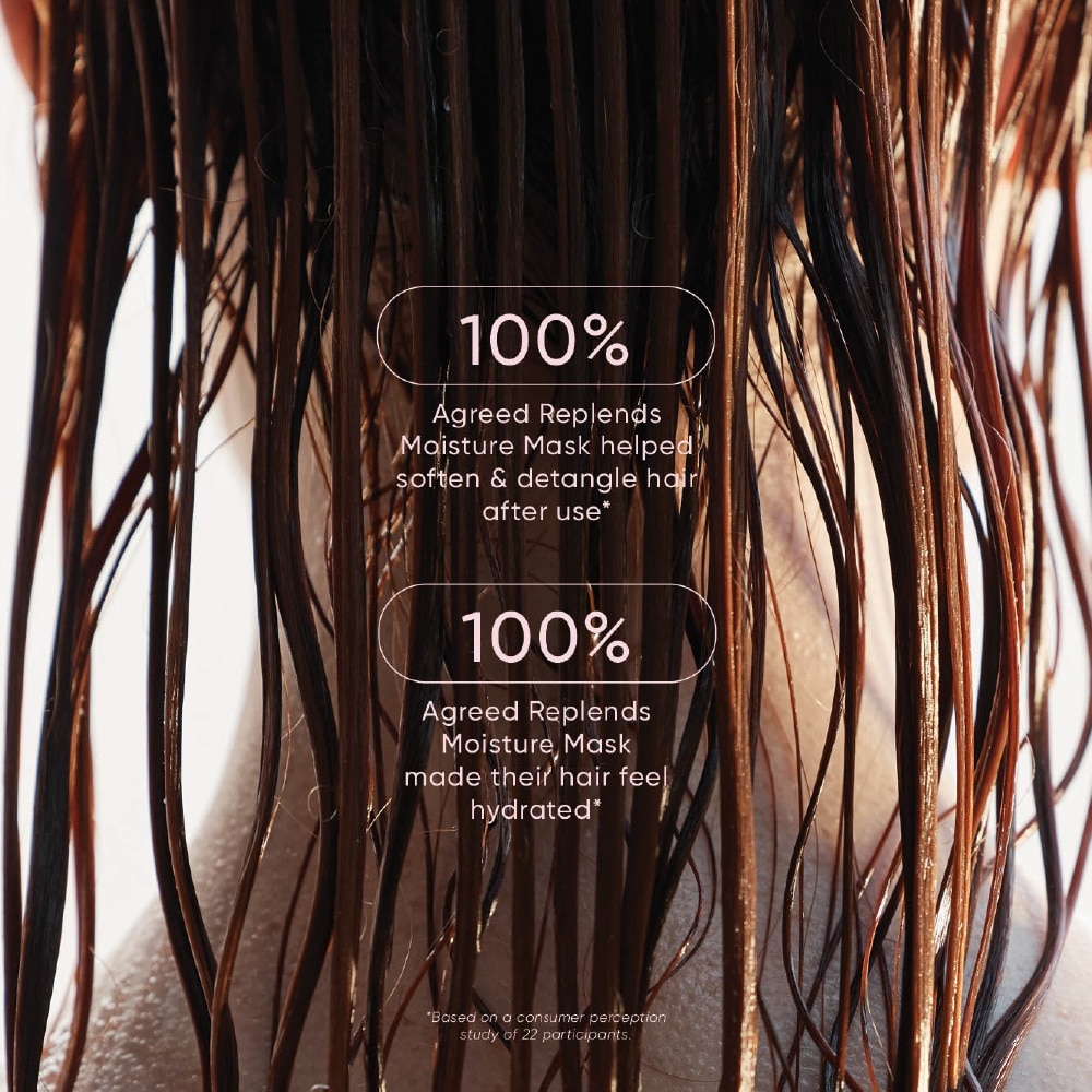 Replends Moisture Hair Mask 160ml