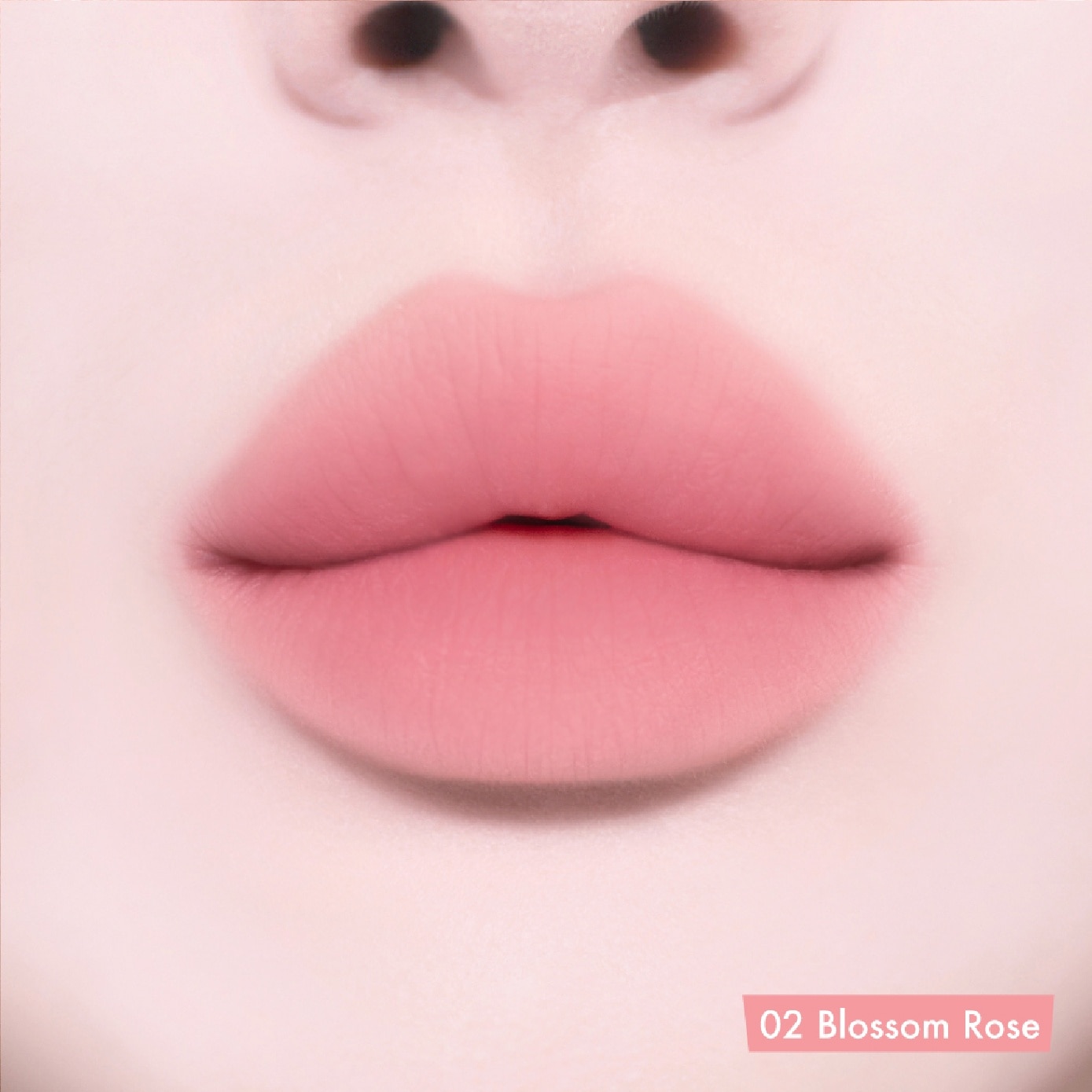Powder Lip & Cheek #02 Blossom Rose 4g