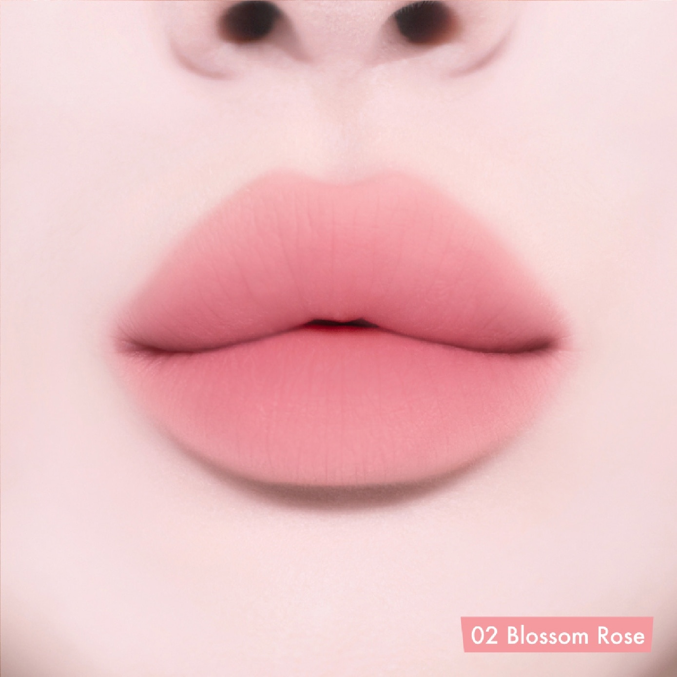 Powder Lip & Cheek #02 Blossom Rose 4g image