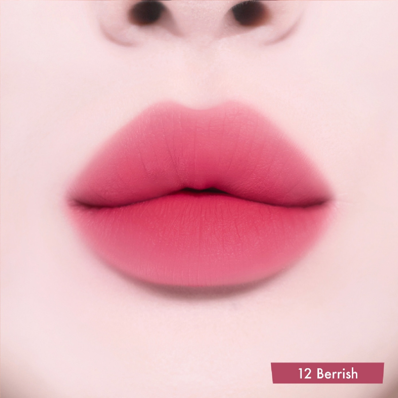 Powder Lip & Cheek #12 Berryish 4g image